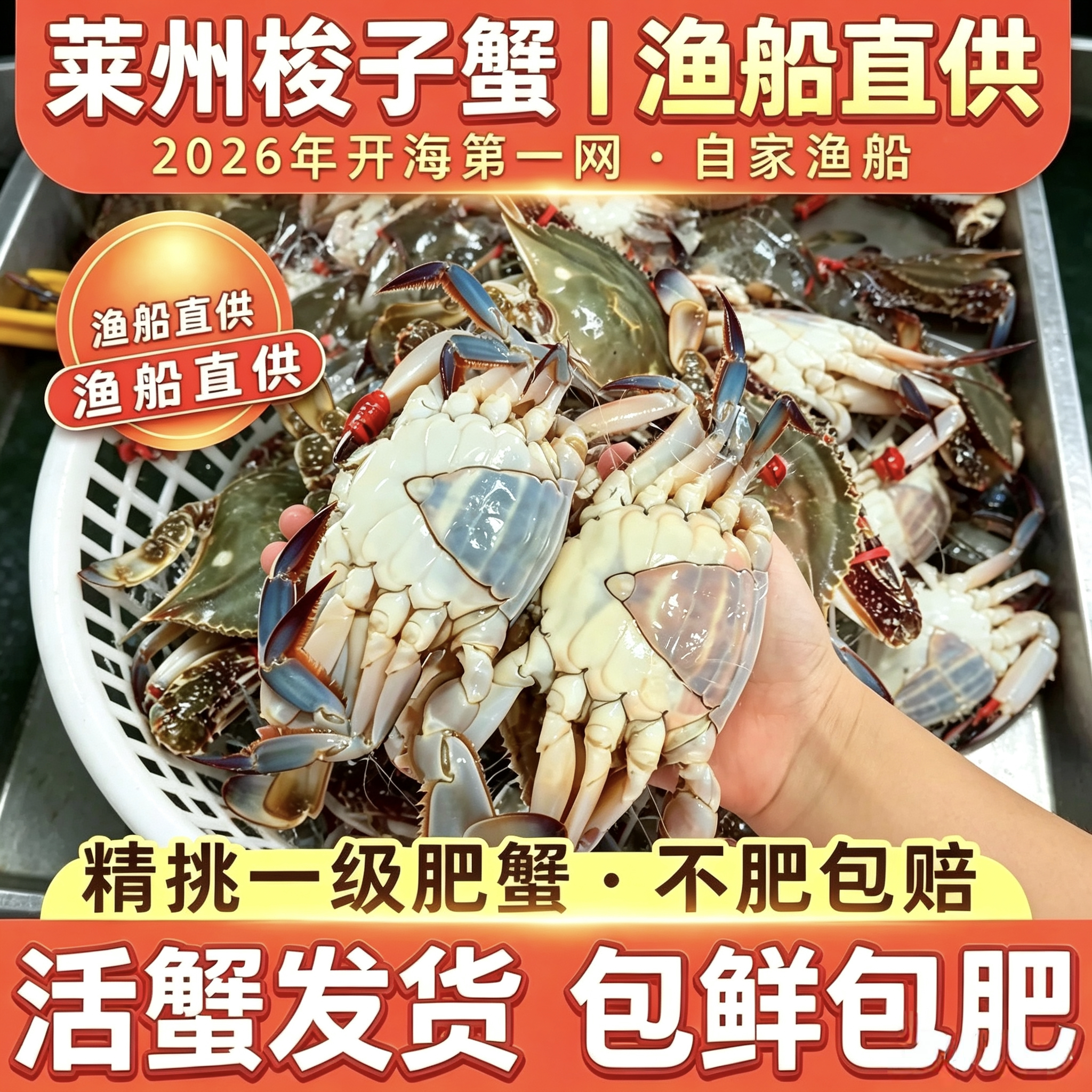 【保鲜不保活】莱州湾野生梭子蟹 新鲜二母蟹姑娘蟹肉母海鲜水产