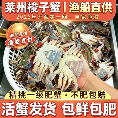 【保鲜不保活】莱州湾野生梭子蟹 新鲜二母蟹姑娘蟹肉母海鲜水产
