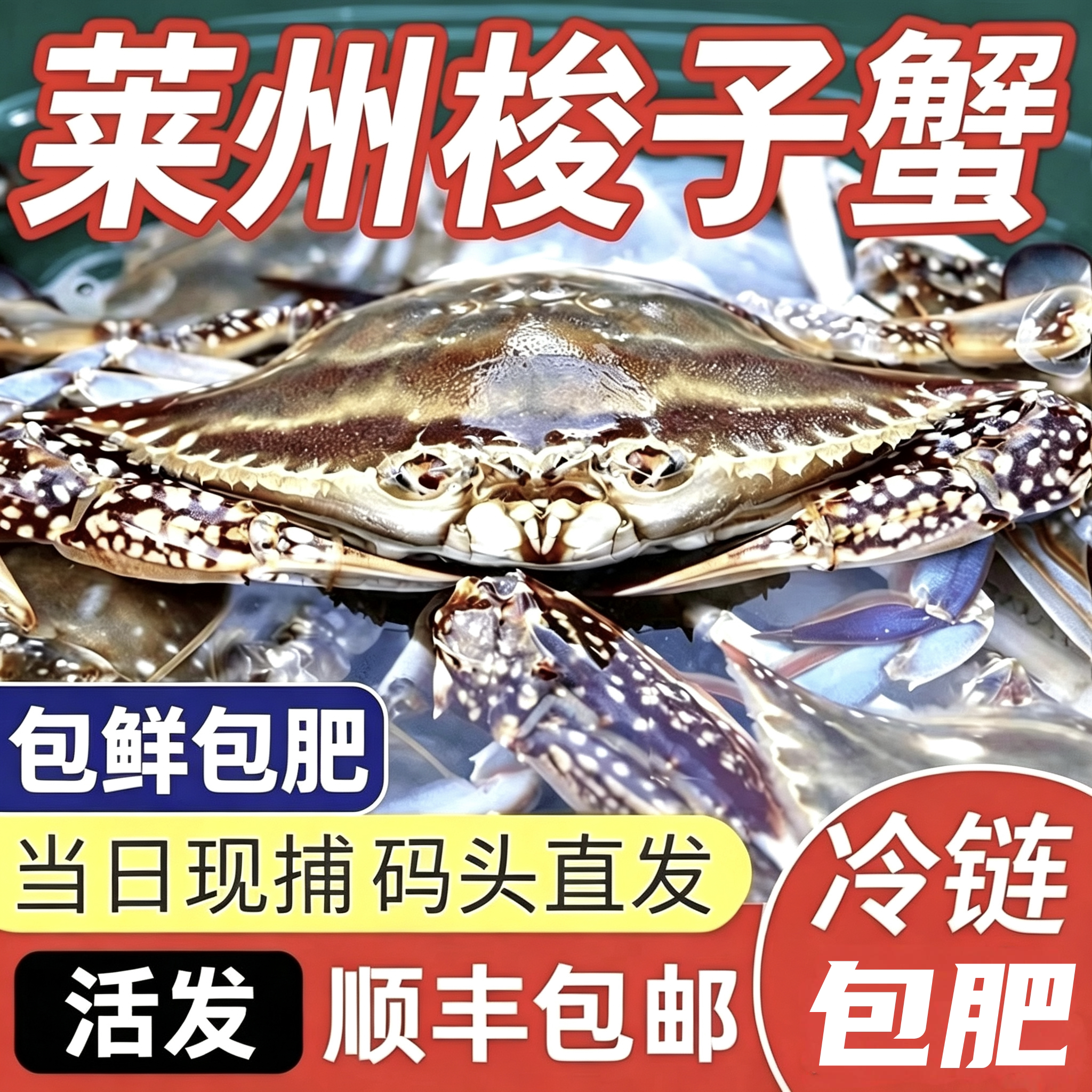【保鲜不保活】野生海捕莱州梭子蟹礼盒新鲜海捕海鲜礼盒团购顺丰