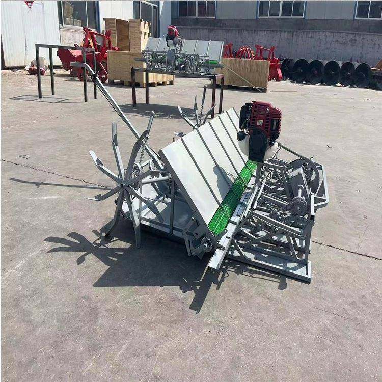 手扶水稻种植机全自动汽油稻子插秧机水田用栽苗机,农机/农具/农膜,播种栽苗器/地膜机,淘宝优惠券,粉丝福利购,淘宝优惠卷