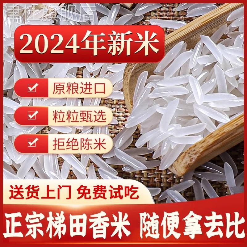 正宗贵州梯田长粒香米官方旗舰店五10斤装常象牙新高山大米猫牙米