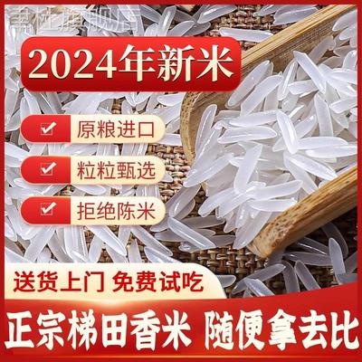 正宗贵州梯田长粒香米官方旗舰店五10斤装常象牙新高山大米猫牙米