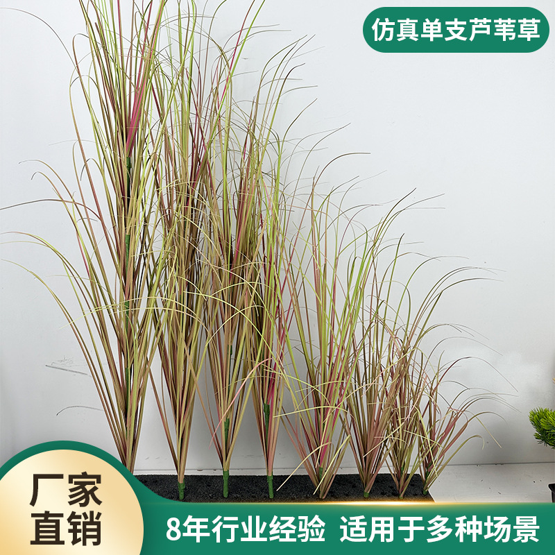 仿真单支芦苇仿真绿植婚庆造景家居装饰仿真芦苇假草拍摄道具