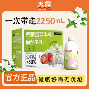 5瓶风味牛奶网红牛奶生牛乳＞80% 茉莉雪芽牛奶饮料450ml 天露