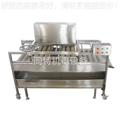 供应 自双动甘清蔗洗机WGK 层毛辊清洗机洗甘蔗机 器