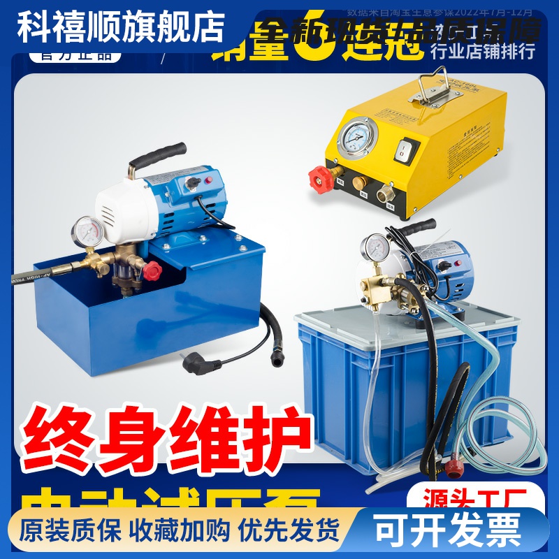 DSY-25 60手提式电动试压泵 PPR水管道试压机 双缸打压泵打压机