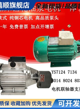CB-B4/B6/B10锯床齿轮油泵电机370/550W金华龙达正方YS7124/7134