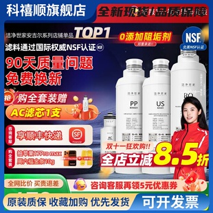 洁净世家适用安吉尔净水器滤芯A4/A4pro/S5/S6/S8/A1/A6ProUS滤芯