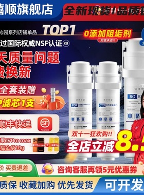 洁净世家适用沁园净水器滤芯KRL5008/KRL5018/KRL5007/3840iPGP