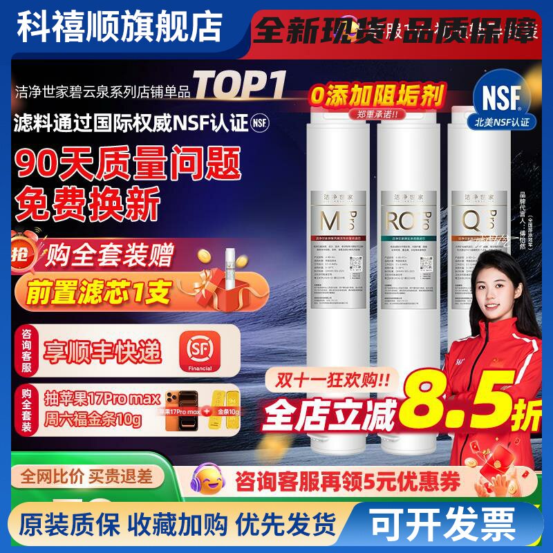 洁净世家适用碧云泉G7/G3净水器滤芯R505/506/R306