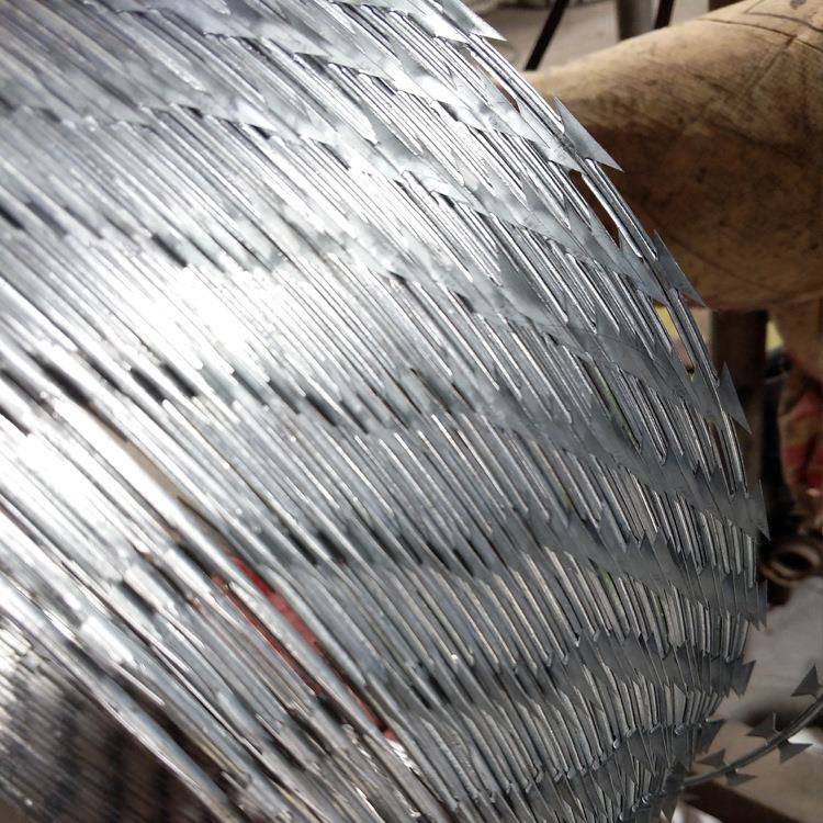 热镀锌刀片绳刺丝 锈钢刺铁 ELK厂区学校围墙刀片刺笼防盗不倒刺