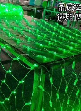 户外防水日天星网饰灯低压装饰led装ERQ绿色网灯Led满网灯渔节网