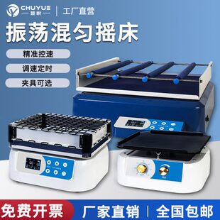 调速振荡器水平小型翘板摇床 楚悦脱色恒温摇床实验室回旋往复式