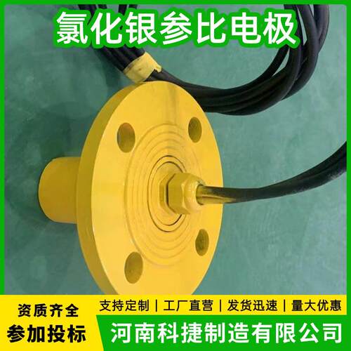 便携式银/氯化银参比电极 CPMS电位监测系统Agcl参比电极