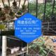 铁丝网养鸡围栏钢丝网防裂网防鼠防鸟养殖网栅栏菜园防护隔离拦鸡