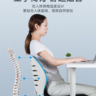 时尚电脑椅办公职员椅学生椅升降转椅舒适久坐宿舍学习椅