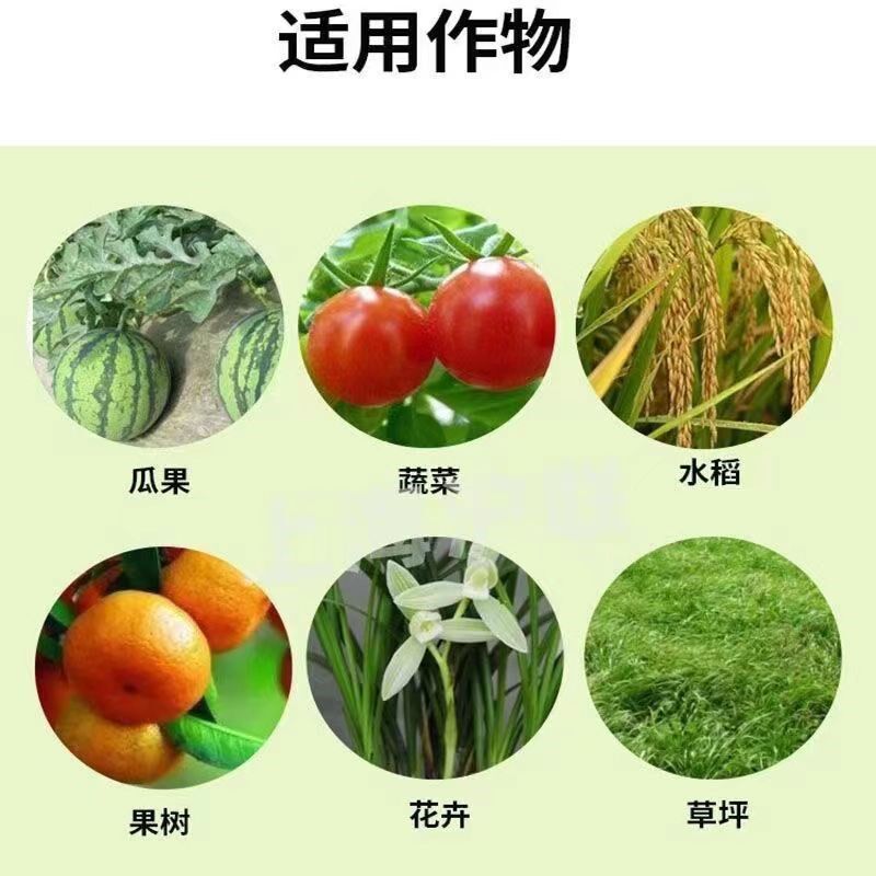 9%吲哚丁酸强力生根剂通用苗木卉育苗扦插移栽茶树果树嫁接