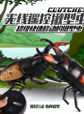 遥控甲虫电动仿生昆虫电子宠物爬行 苏拉威西巨扁遥控甲壳虫
