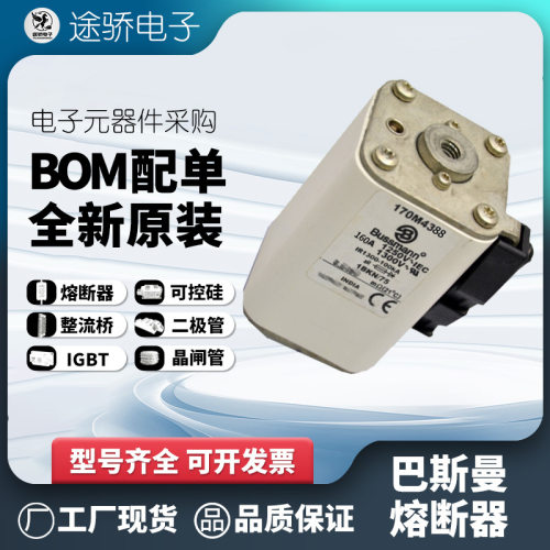 伊顿巴斯曼170M4392/3/4熔断器