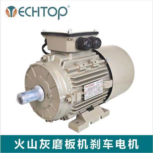 磨刷马达 TECHTOP T3CRB90S-6  0.8KW 磨板机专用电机 UL/CSA认证