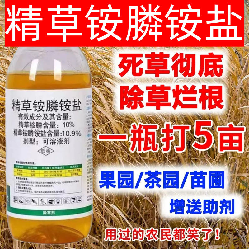 精草铵磷铵盐专用除草烂根剂一扫精草胺磷铵盐草铵磷正品光除草剂