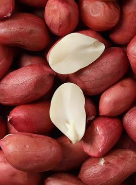 皮生花生米2024新货红新鲜原年味带壳晒干四粒QTQ红衣仁不小粒豆