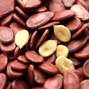 大片颗西SIF粒散红瓜子咸味江特产装子水煮蒸气煮农家红西瓜坚果
