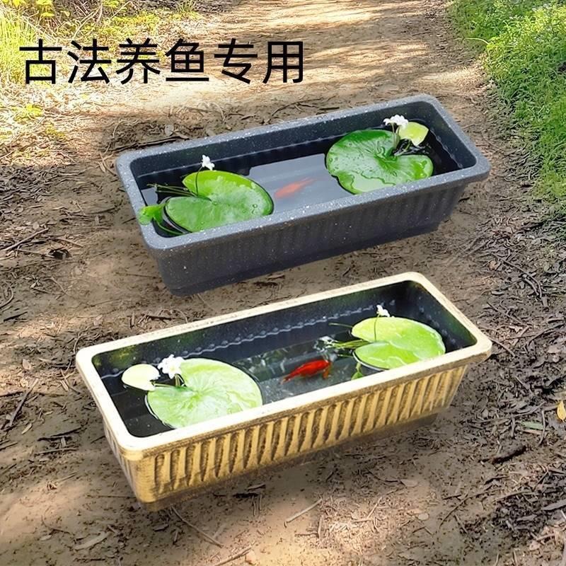 水槽花盆塑料阳台鱼缸长方形菜盆种植室内蔬菜家庭池养睡莲的专用