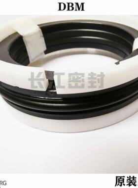 DBM100-75-35.1（DASPOLYPAC)629531160-135组合油封港口