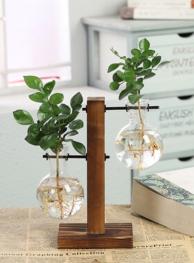 创意瓶瓶木架水培瓶绿萝瓶装饰品