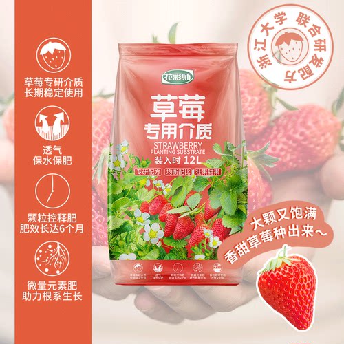 花彩师草莓专用营养土果大果甜