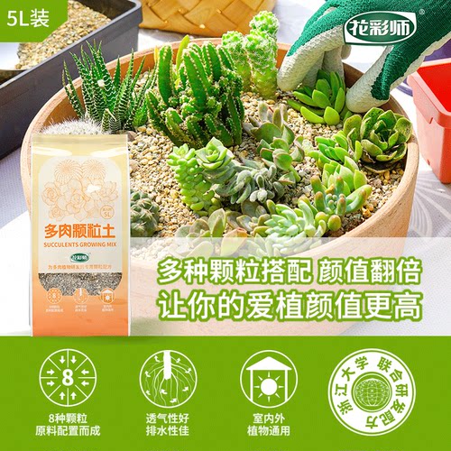 花彩师多肉专用营养土养好根