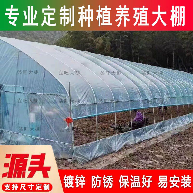 全养殖种植温室大棚家用骨架大棚农用蔬菜棚拱杆支架钢管保工厂