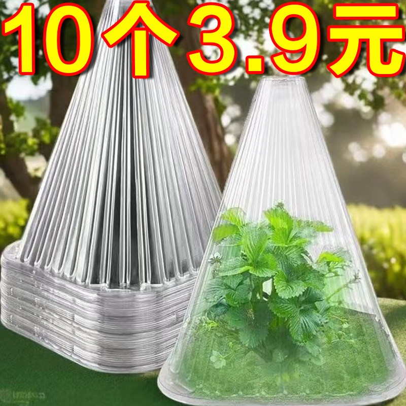 育苗保护罩透明钟罩可重复使用温室大棚J免受鸟类霜冻伤害加厚保