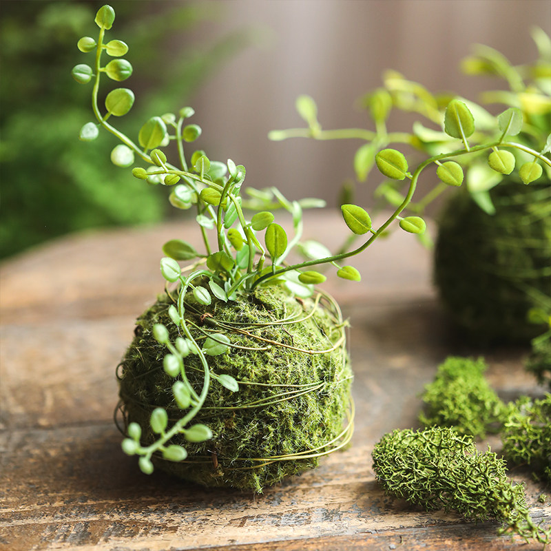 蕨叶小草球仿真苔藓球造景装饰品摆件仿真绿植室内家居饰品小摆件