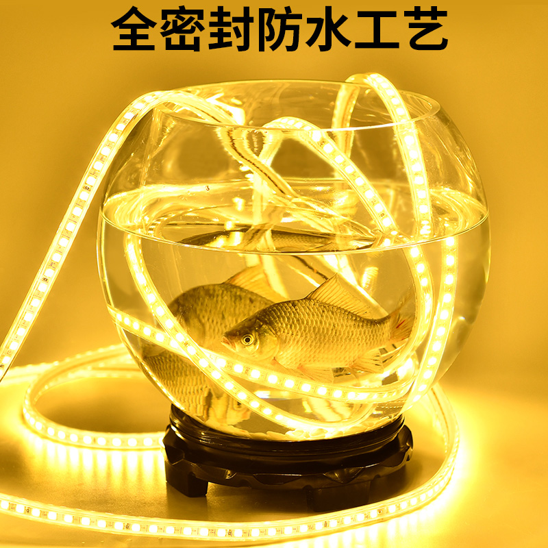 低压36v灯带led超亮建筑工地隧道地下室工程施工24v防水灯条白光