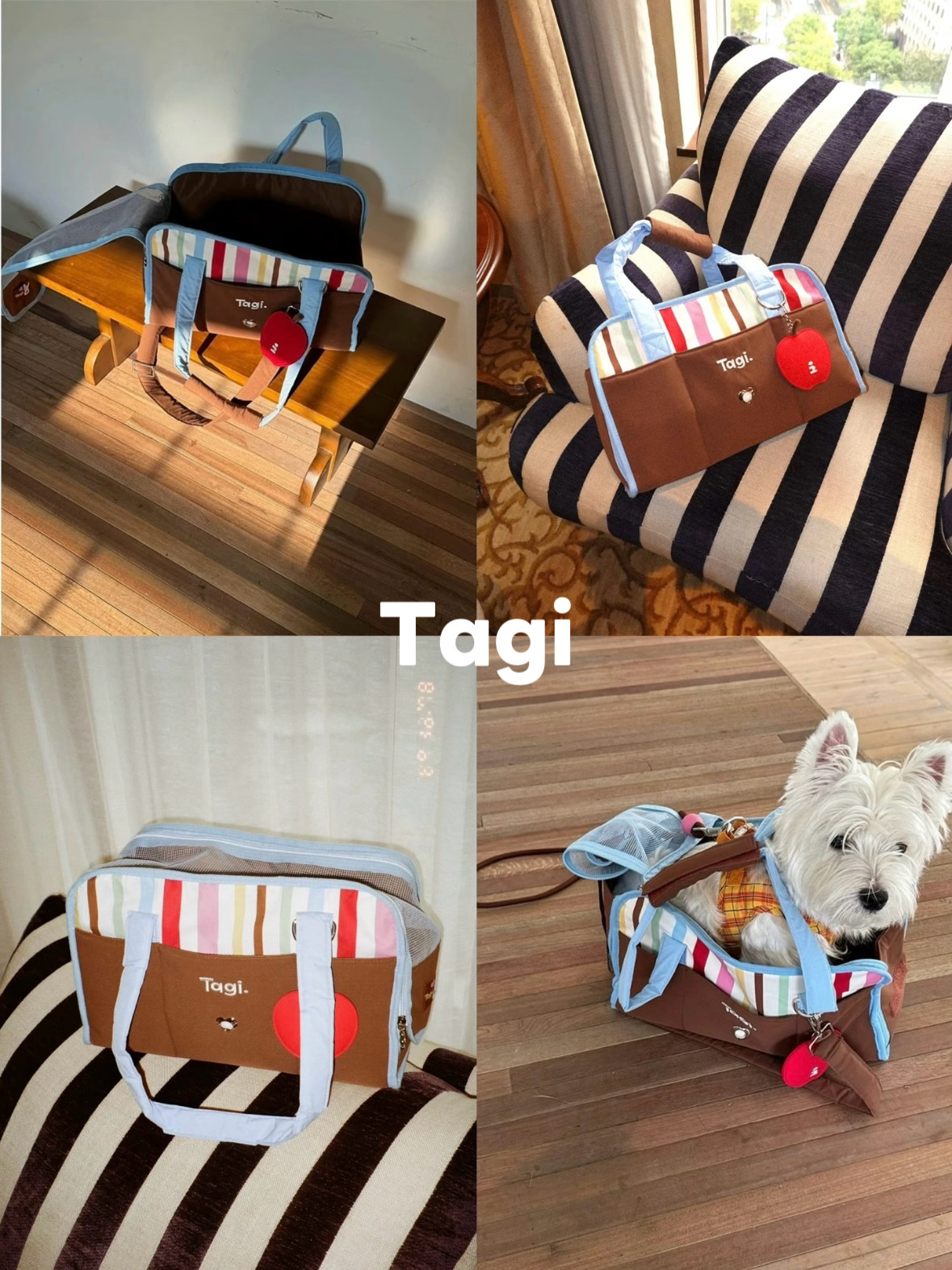 Tagi.彩条便携透气宠物包多功能车载外出野餐包手提斜挎包猫包图片