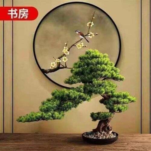 迎客松盆景室内外松树绿植卉小季地柏真树造型树老桩