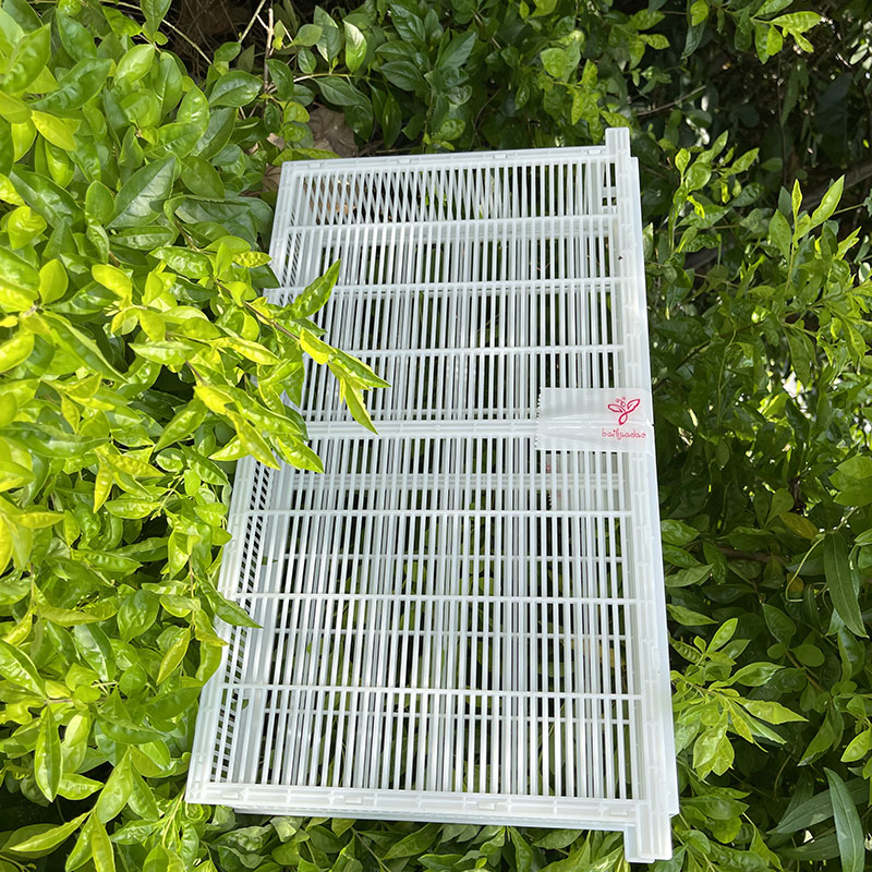 防逃双框隔王板控制器防逃片囚王笼隔王器中蜂土蜂蜂王产卵控制器