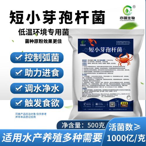 短小芽孢杆菌水产养殖冬天环境低温污水处理水体底质微生物菌种