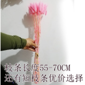 兔尾草干束灰黑色狗尾永生浮油材料客厅装 饰物