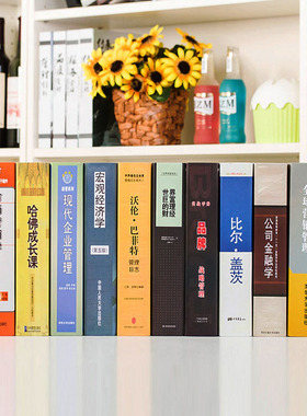 复古仿真书假书道具书样板房咖啡厅书柜客厅装饰书书壳装饰品