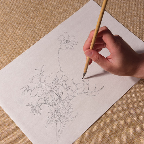 工笔画白描底稿初学者学生荷牡丹线稿临摹国画工具入门勾线熟宣