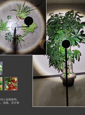 白色限量补光灯热植角梅多肉全光谱生长灯灯