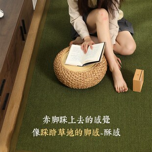 天然植物纤维 入户门地垫剑麻地毯客厅茶几毯卧室编织侘寂风定制