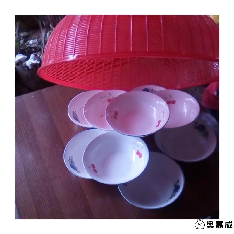 塑料饭菜罩子桌盖菜罩餐桌罩剩菜长方形饭碗罩菜伞圆形大号