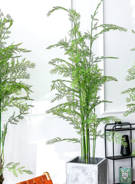 七茉 仿真文昌竹大型氧气蕨类绿植盆景假树室内饰落地