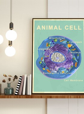动细胞结构解剖图挂画生物学教室实验室办公室布置装饰画