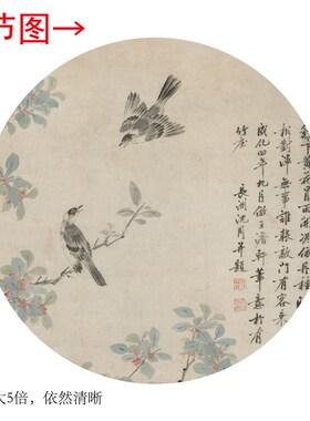 明沈周黄菊丹桂图客厅书房茶室饰画挂画玄关水墨卷轴