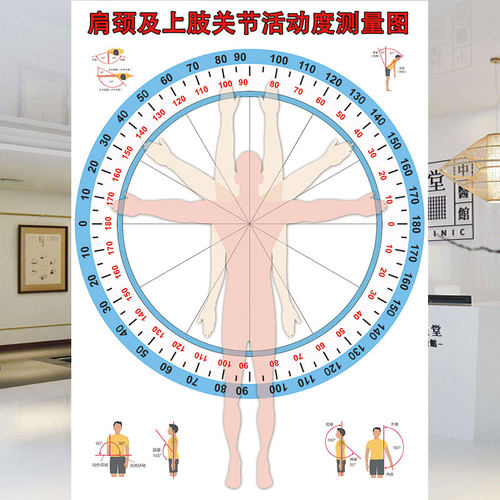 颈肩及上肢关节活动度测量图墙中医馆诊所医院装饰背景墙纸壁画